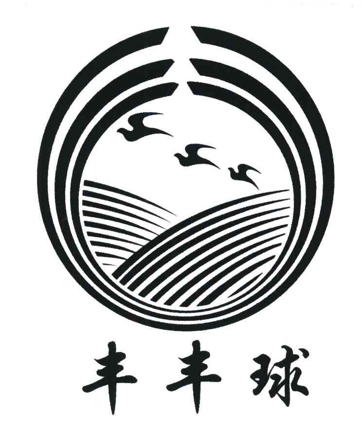 丰丰球