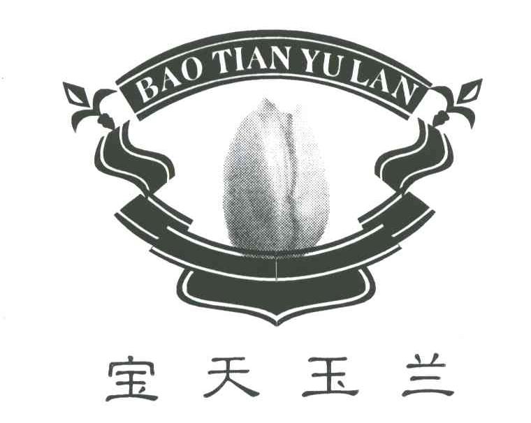 宝天玉兰