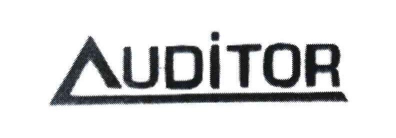 AUDITOR