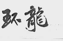 环龙