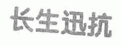 长生迅抗