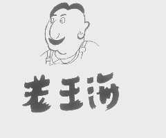 老王海