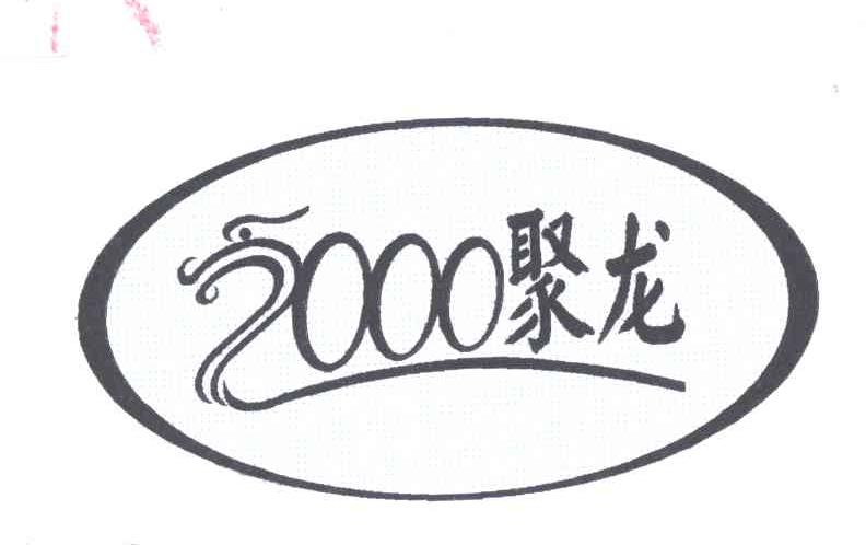 聚龙