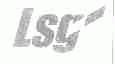 LSG