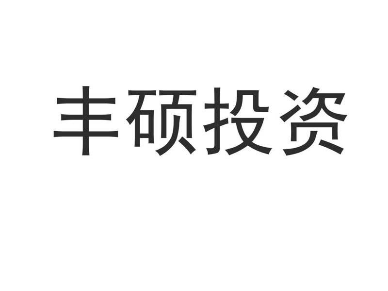 丰硕投资