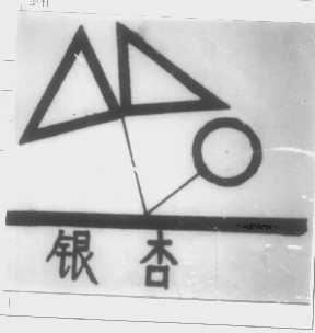 银杏