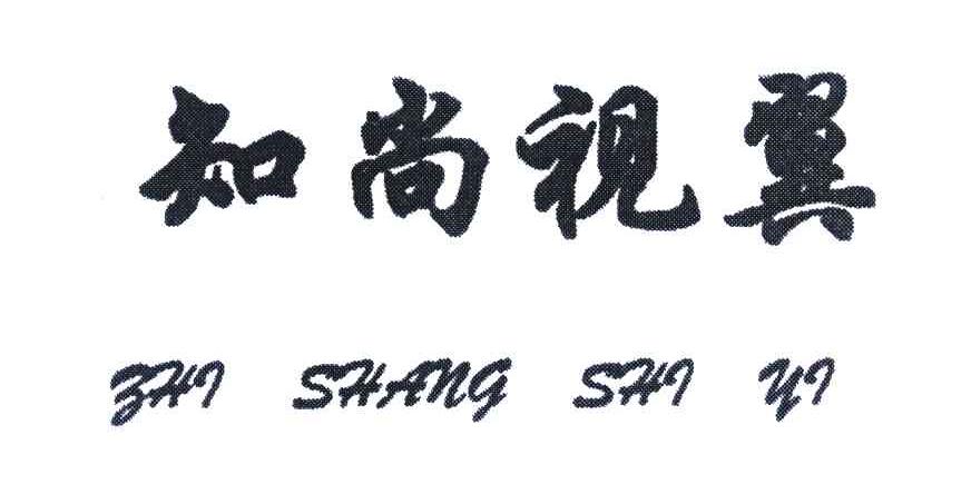 知尚视翼