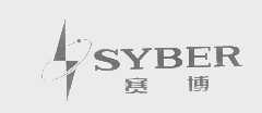 赛博   SYBER