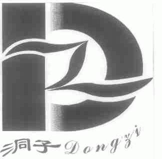 洞子
