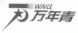 万年青;WNQ