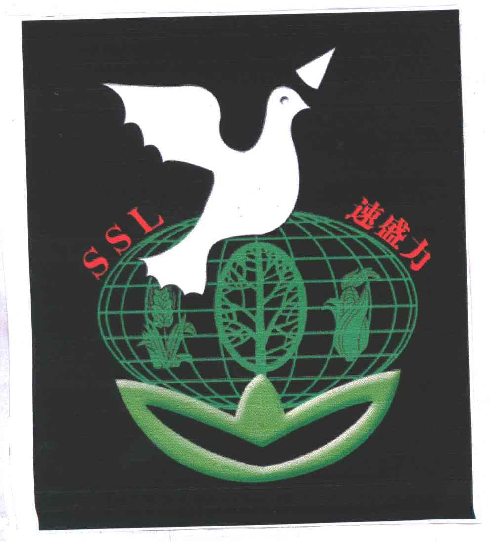 速盛力;SSL