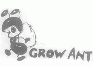 GROW ANT