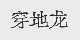 穿地龙