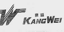 康威