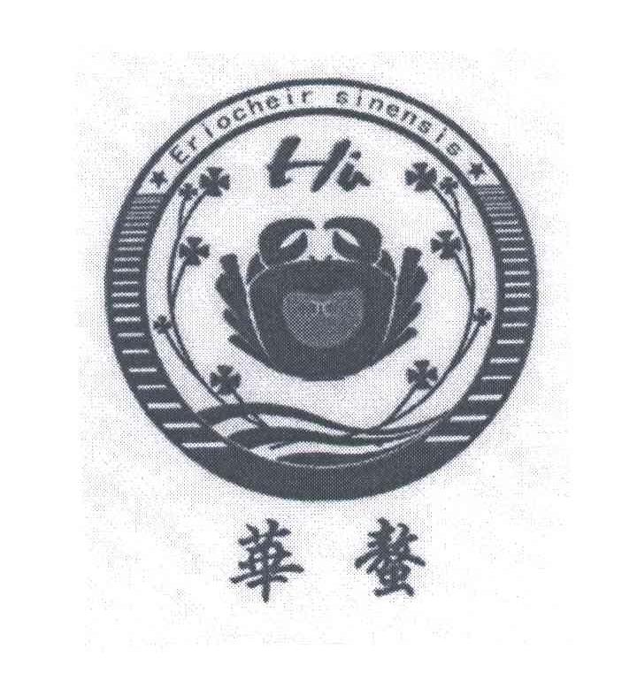 华螯ERIOCHEIR SINENSIS
