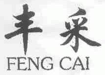 丰采