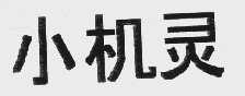 小机灵