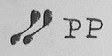 PP