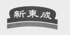 新东成