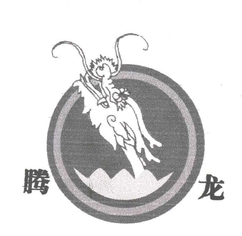 腾龙