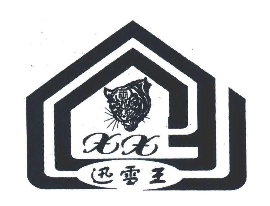 迅雪王