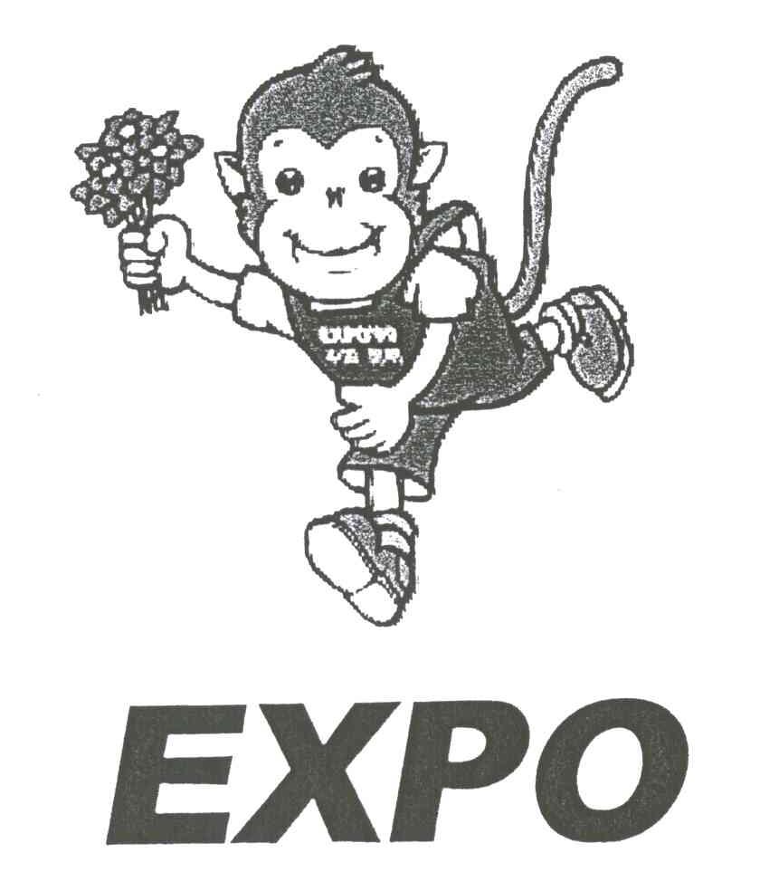EXPO及图