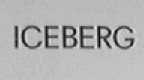 ICEBERG