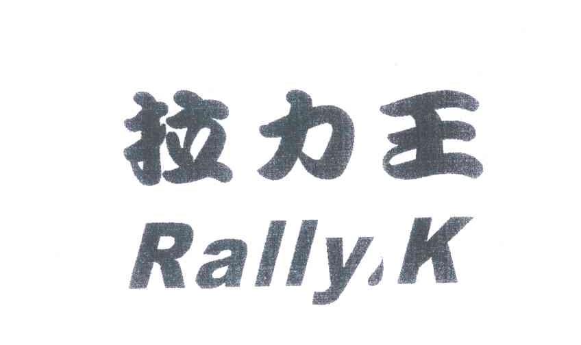 拉力王 RALLYK