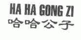 哈哈公子