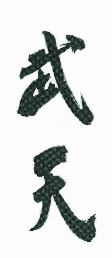 武天