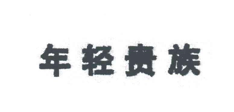 年轻贵族