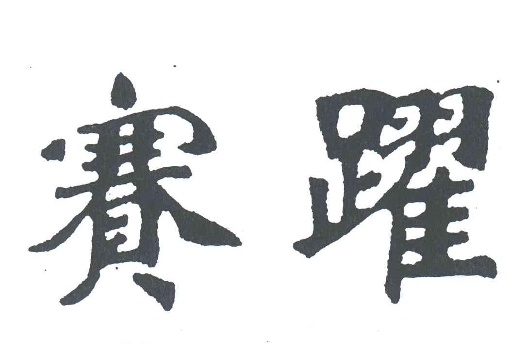 赛跃