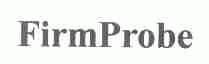 FIRMBROBE