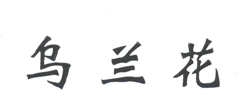 乌兰花