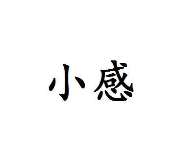 小感