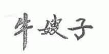 牛嫂子