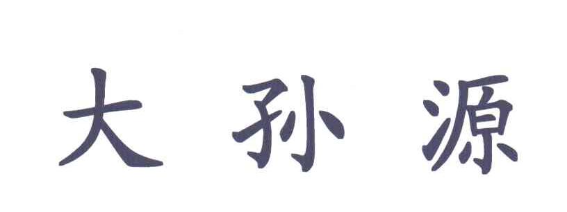 大孙源