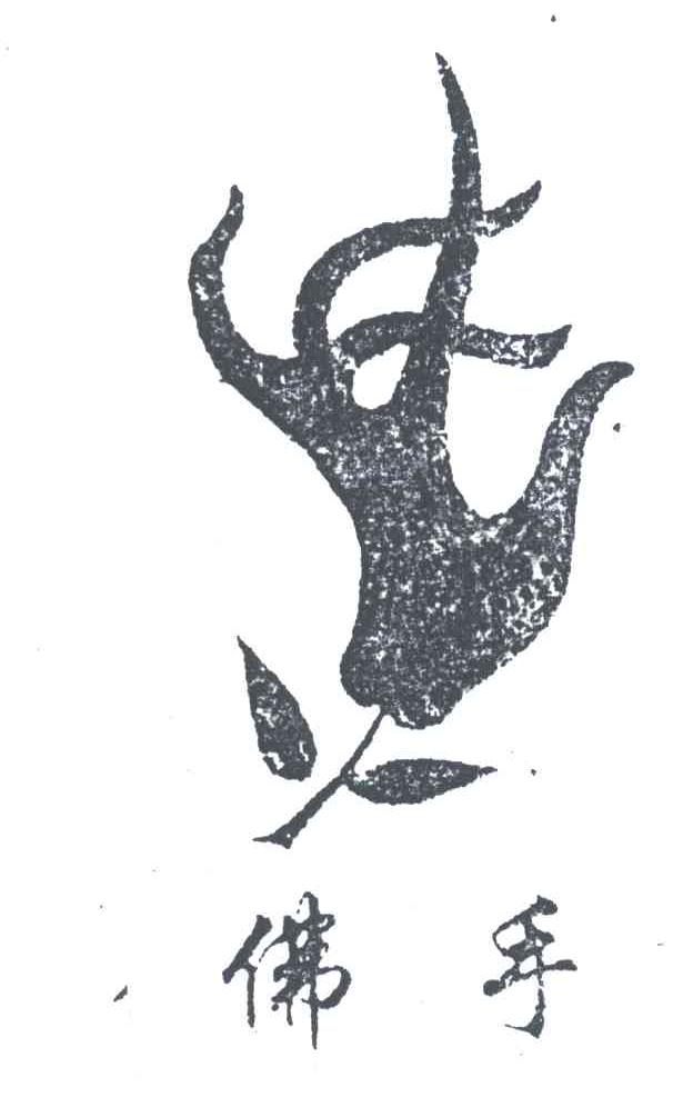 佛手