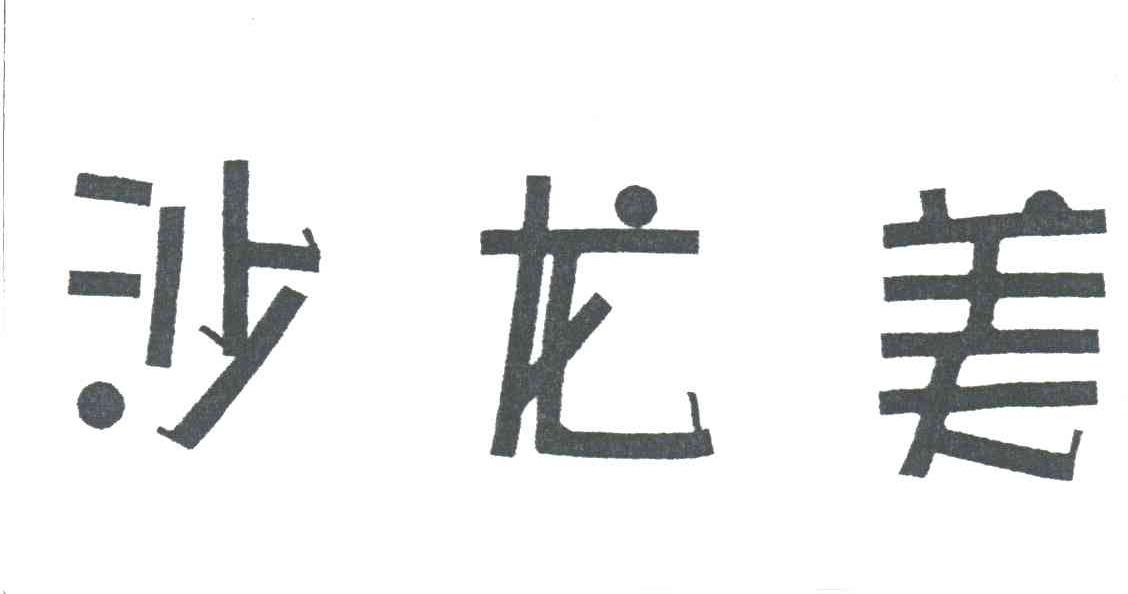 沙龙美