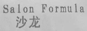 SALON FORMULA    沙龙