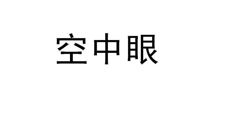 空中眼