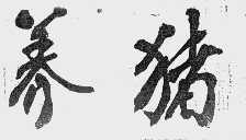 养猪