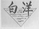 白洋