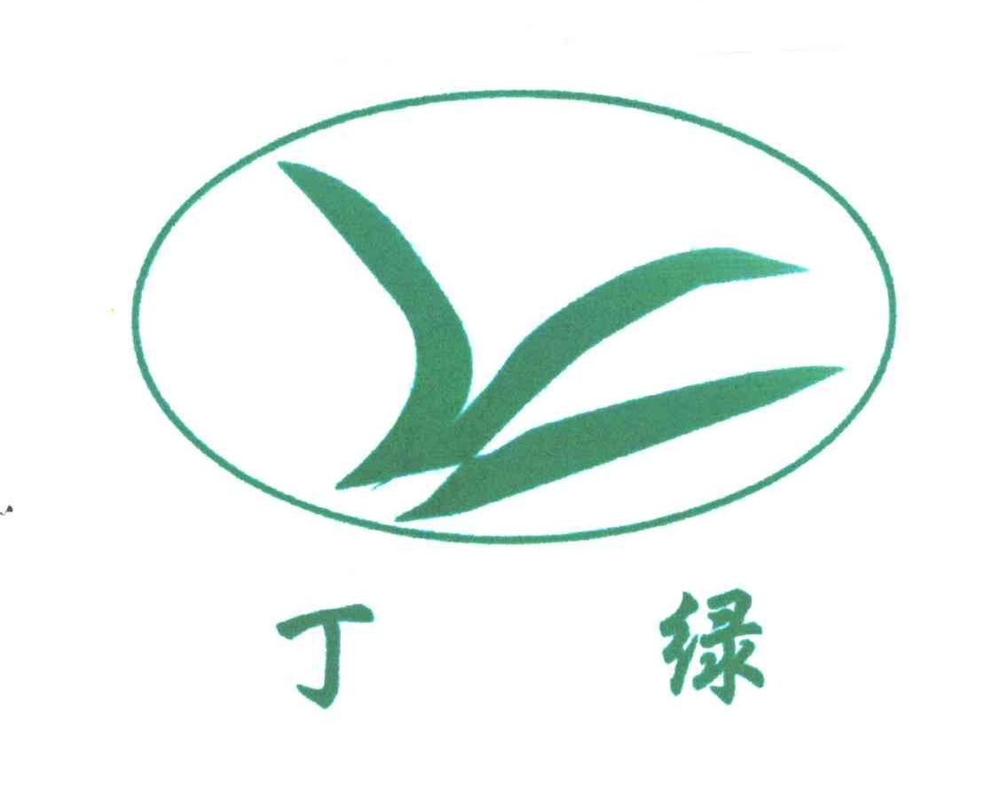 丁绿