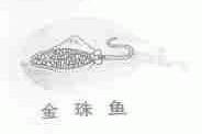 金珠鱼