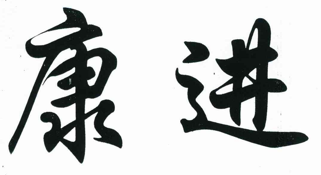 康进