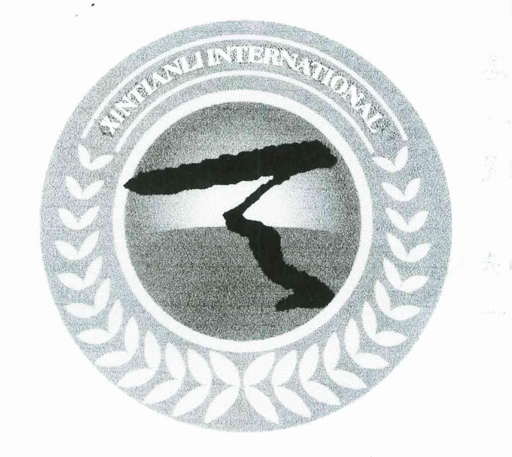 XINTIANLI INTERNATIONAL