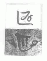 匹匹