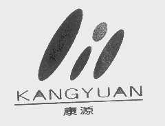 康源