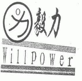 毅力;WILLPOWER
